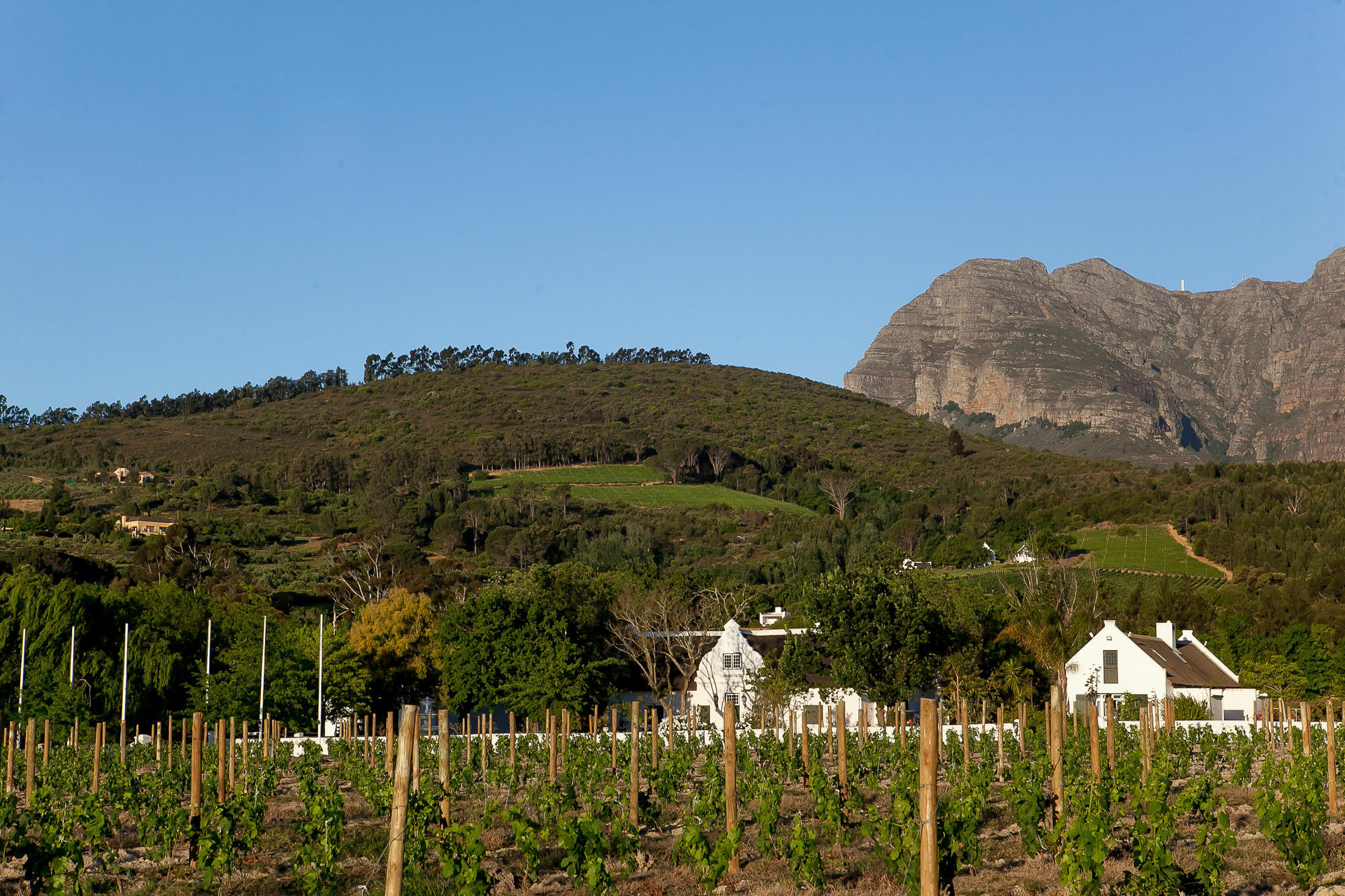 1692 De Kleijne Bos Country House Paarl Exterior foto